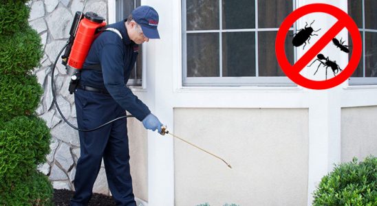 Bingöl Karınca İlaçlama böcek ilaçlama ve haşere kontrolü — ilaclama-tr.com